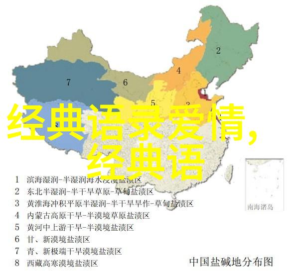 偶像梦想的代价名人的坚持与挑战