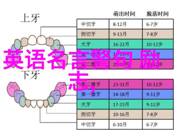 星光之梦从街头艺人到影帝荣耀的不凡征程