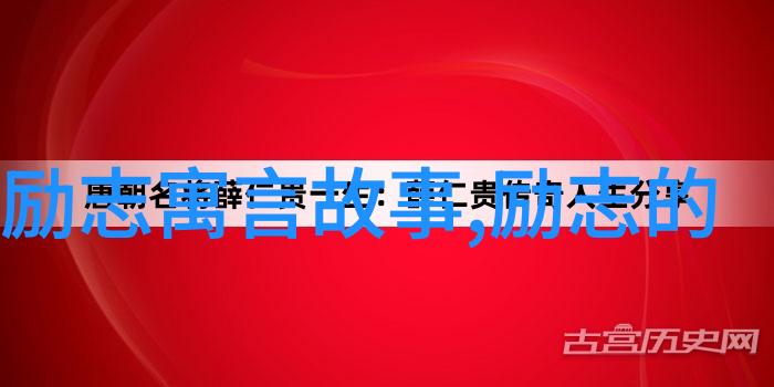 中国外交官在非洲成功救援难民中非人道主义合作