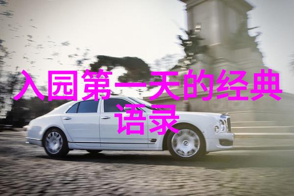 青春风华梦想与挫折的交响曲