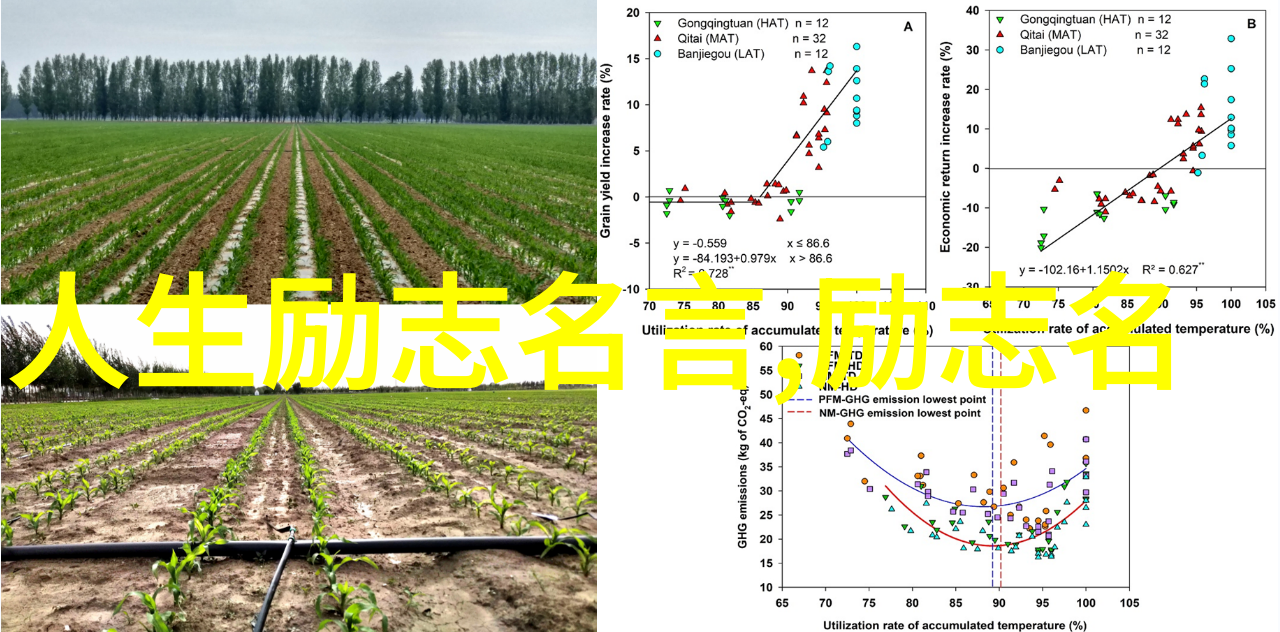 青春回响岁月静好言语