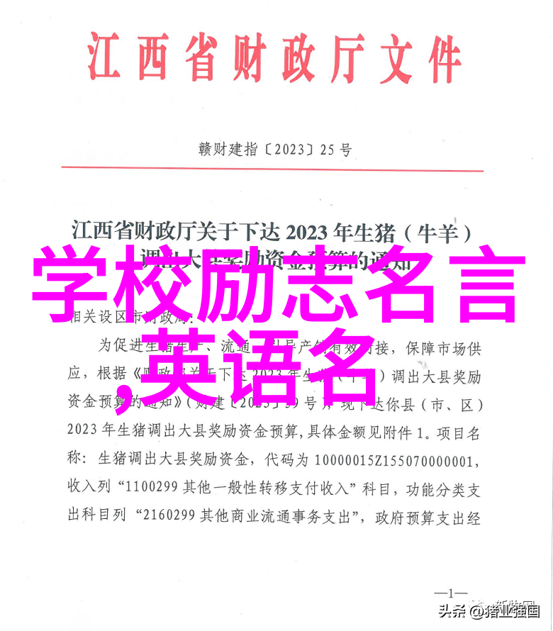 改变命运的决心在15秒里如何凝结成坚定信念