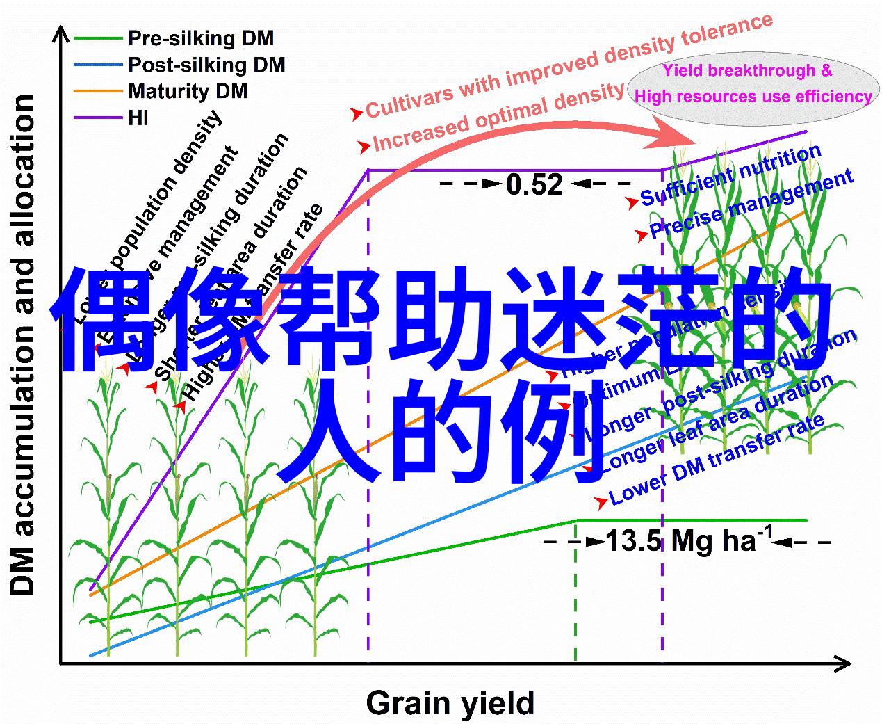 为理想而奋斗的人物故事他是那个永不言弃的少年从篮球场到梦想之城