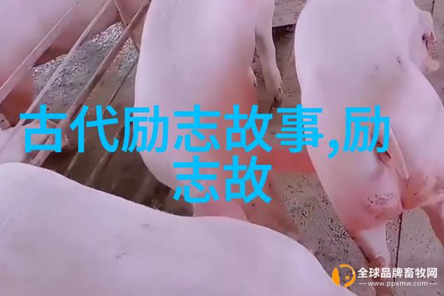 星光之梦从无名小卒到影视巨擘的奋斗史