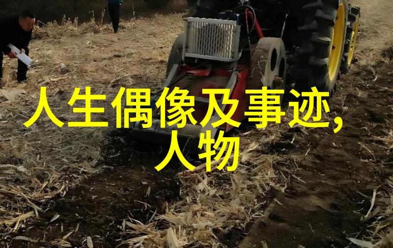 追随心中的偶像是不是一条充满风险但也可能带来巨大回报的道路