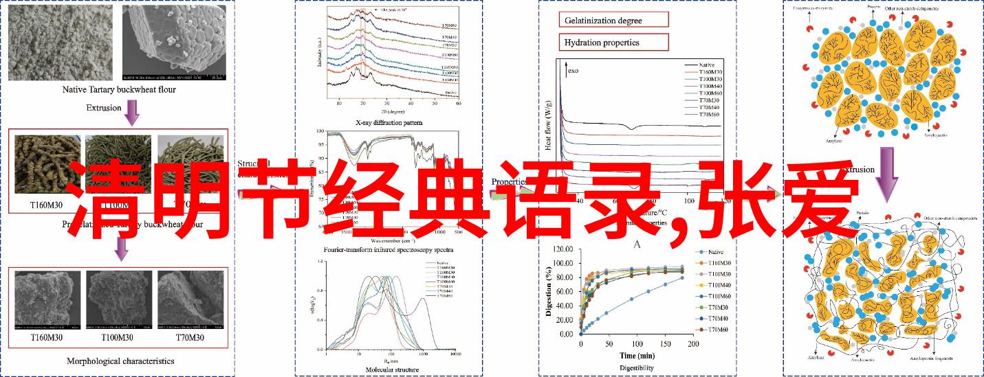 马云的职业规划之路一段传奇的启动