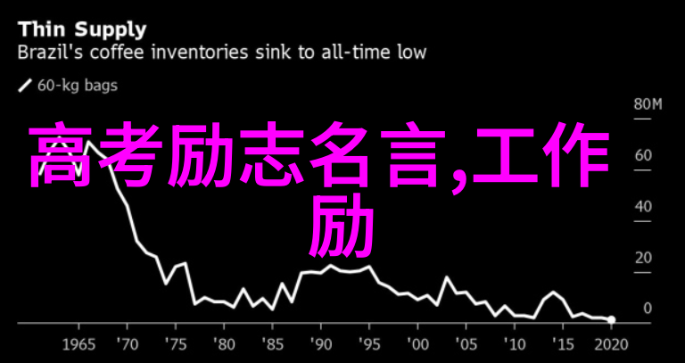 面包屑与繁花城市清洁志愿者的故事