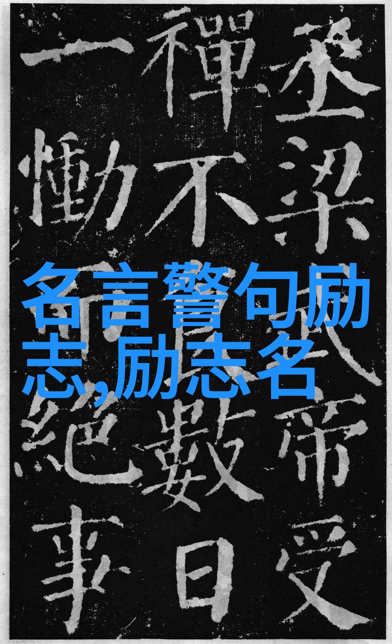 央视2009年度经济人物努力奋斗的可爱形象亮相