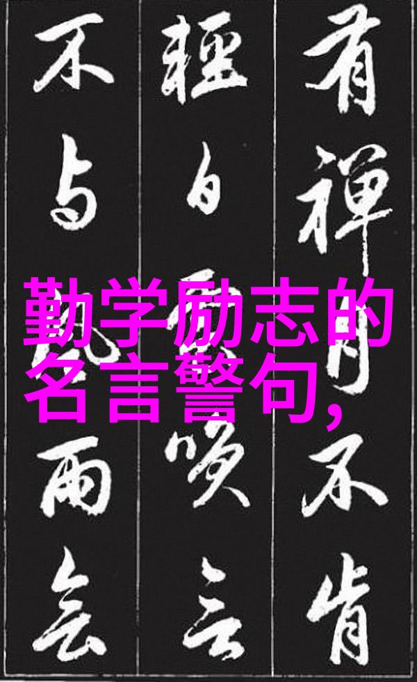 逆袭青春从网红小能手到社会责任者