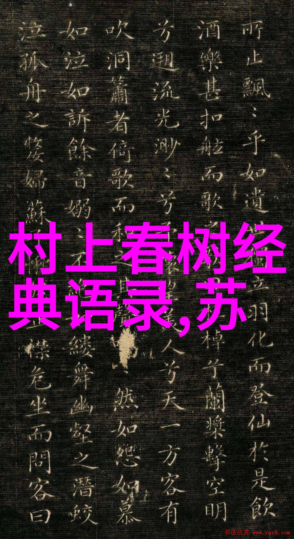 韩寒深刻言论深刻洞察人生智慧