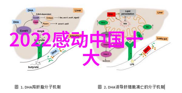 中国少年志愿者救助老人被骗案件的正能量故事