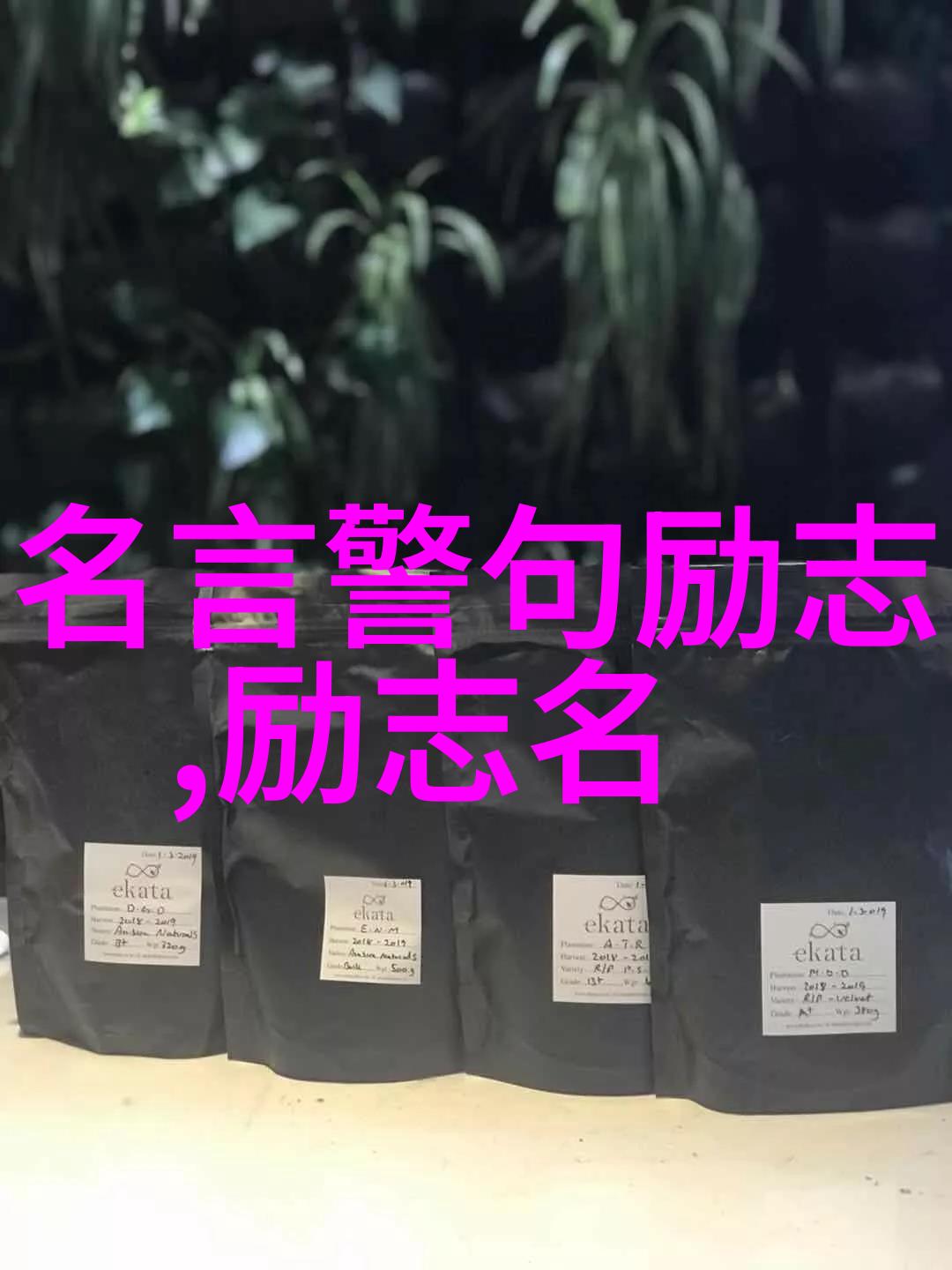 唐骏如同中国伟大贡献的人物我能成功你为何不能