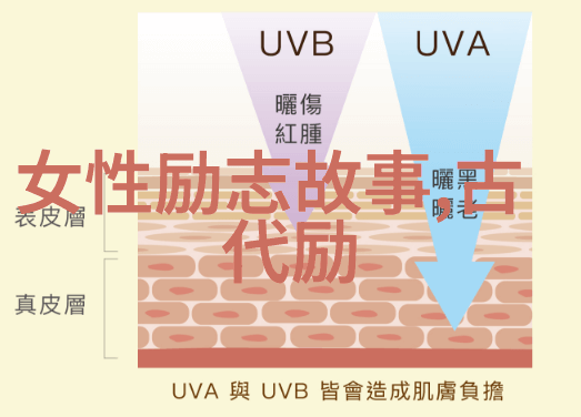 析解断舍离智慧探索经典语录中的物是人非哲学