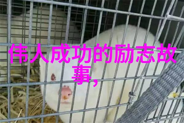 原神角色黄化网站视频下载探索原神角色的黄金时刻