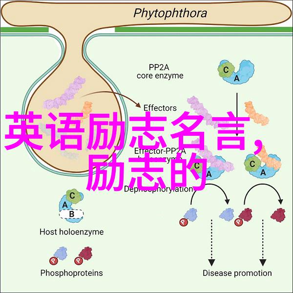 人生感悟镜头下的故事与智慧