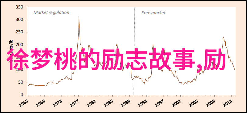 人物事迹素材梦想的火炬手