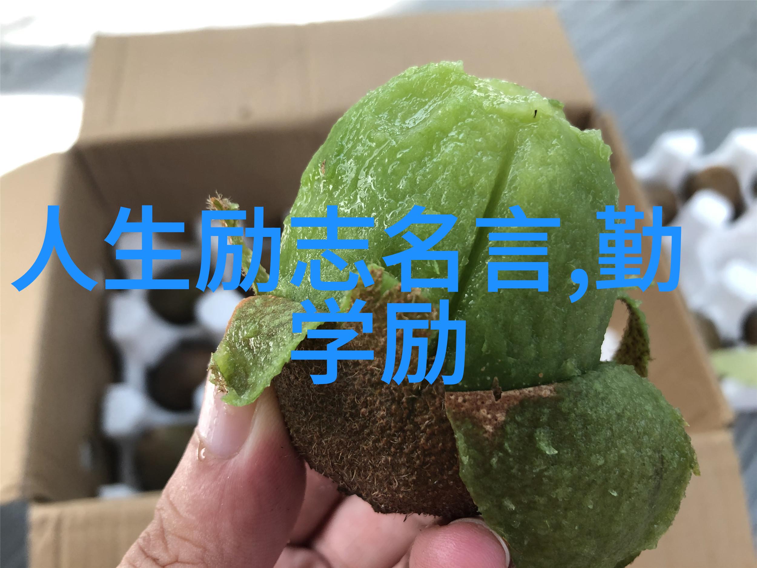 情感导师从心灵导航到笑料探险