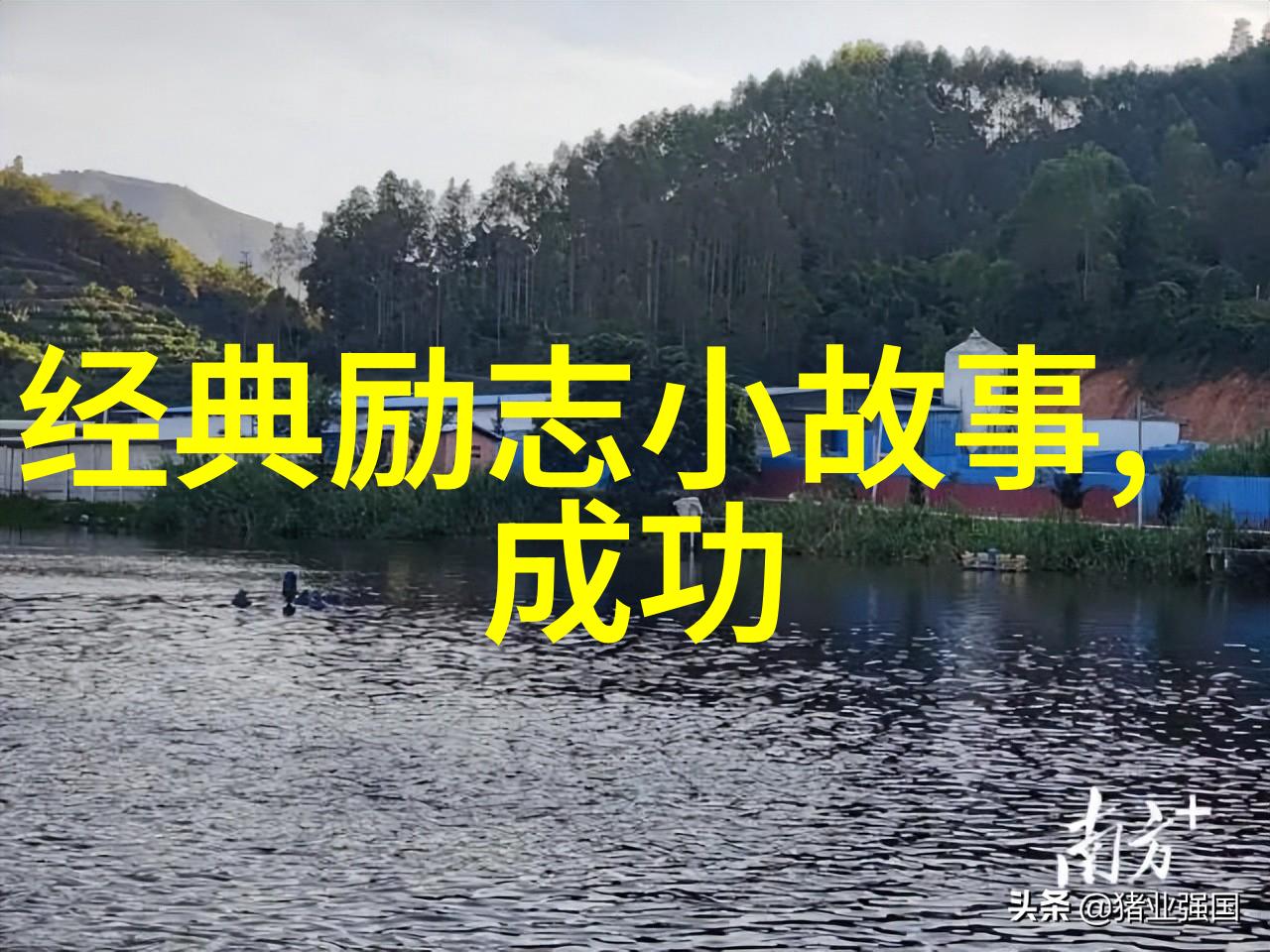 贺炜经典语录 - 追梦者贺炜逆袭之路上的智慧与勇气