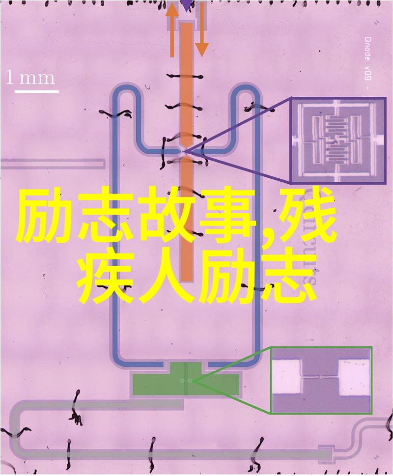 励志偶像人物事迹 - 李稻葵逆袭的女王之路