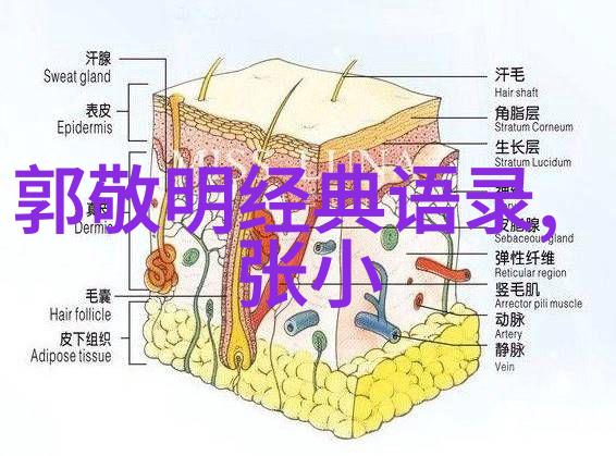 梦幻之城大学四年记