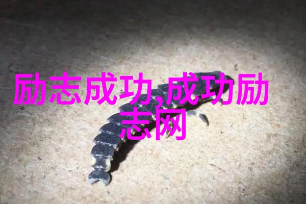 逆袭之星偶像背后的坚韧与光芒