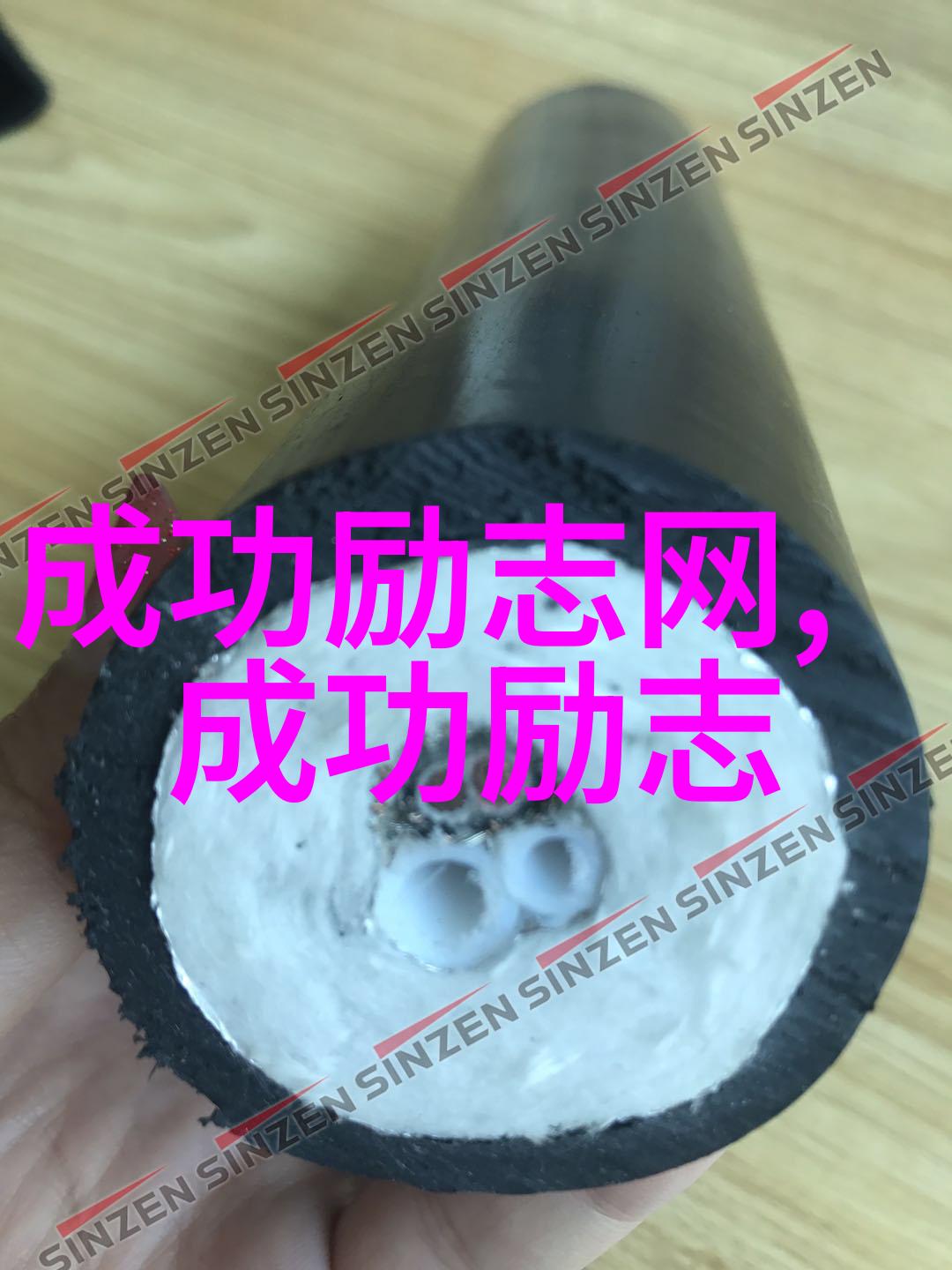 师徒情深共赴险关孙悟 空和唐僧的师徒情谊