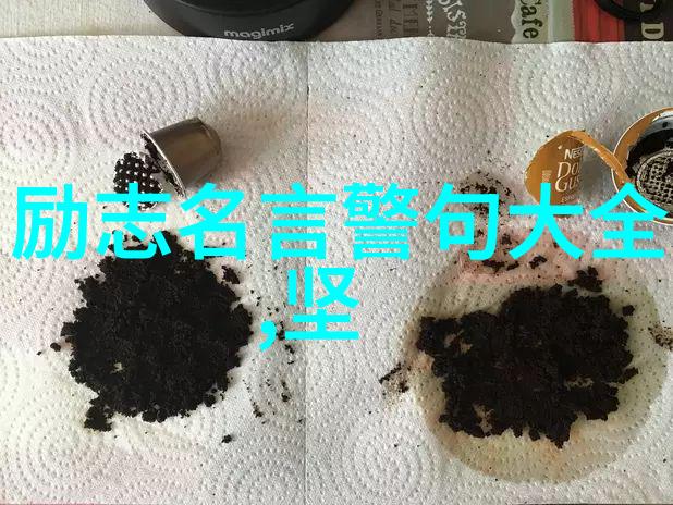 球场上的天才贝克汉姆的足球梦