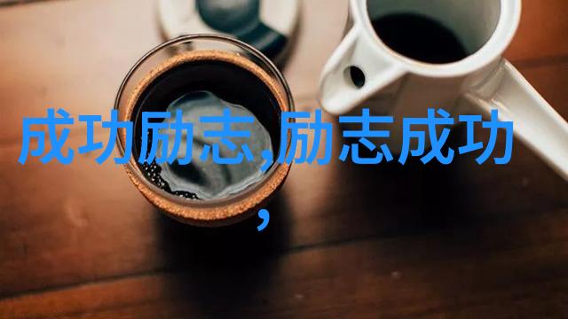 从懒惰王子到奋斗英雄我的逆袭之旅