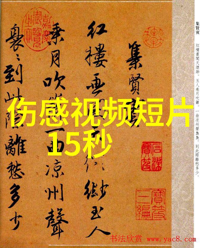 人物事迹素材100字-百年风华一位传奇将军的生平绘画