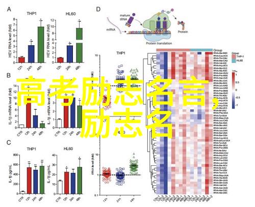 爱情哲理的感恩句子抒情之作比喻经典语录