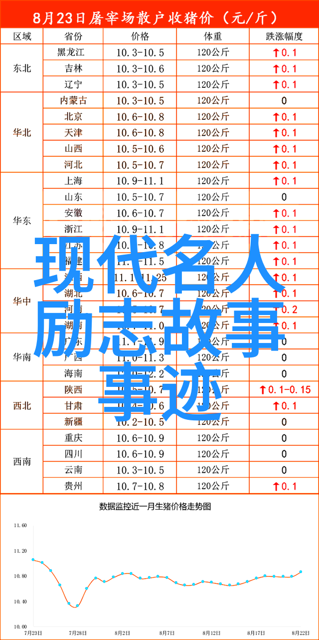 月光下的秘密花园情侣间的梦幻之旅