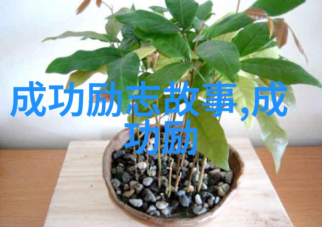 从铁匠到帝师邓稼先的光与影