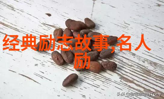 阴影中的守护者失落的家族遗产与未解之谜