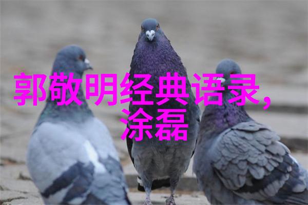 逆袭成长从平凡到非凡的励志故事