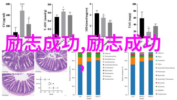 奋斗不息梦想永燃人生拼搏的精彩篇章