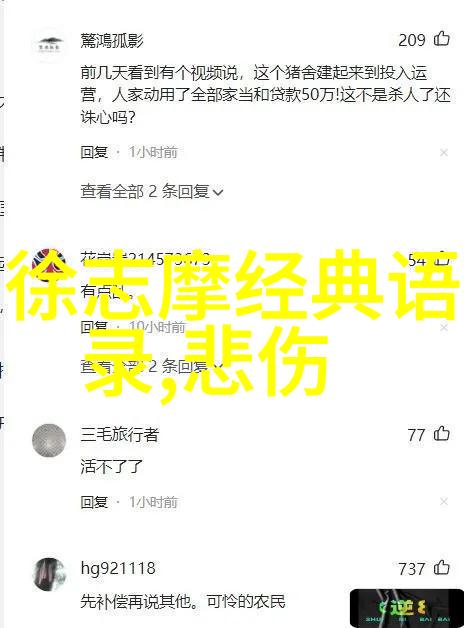 撩人的代价那些曾试图赢得我心的男人们