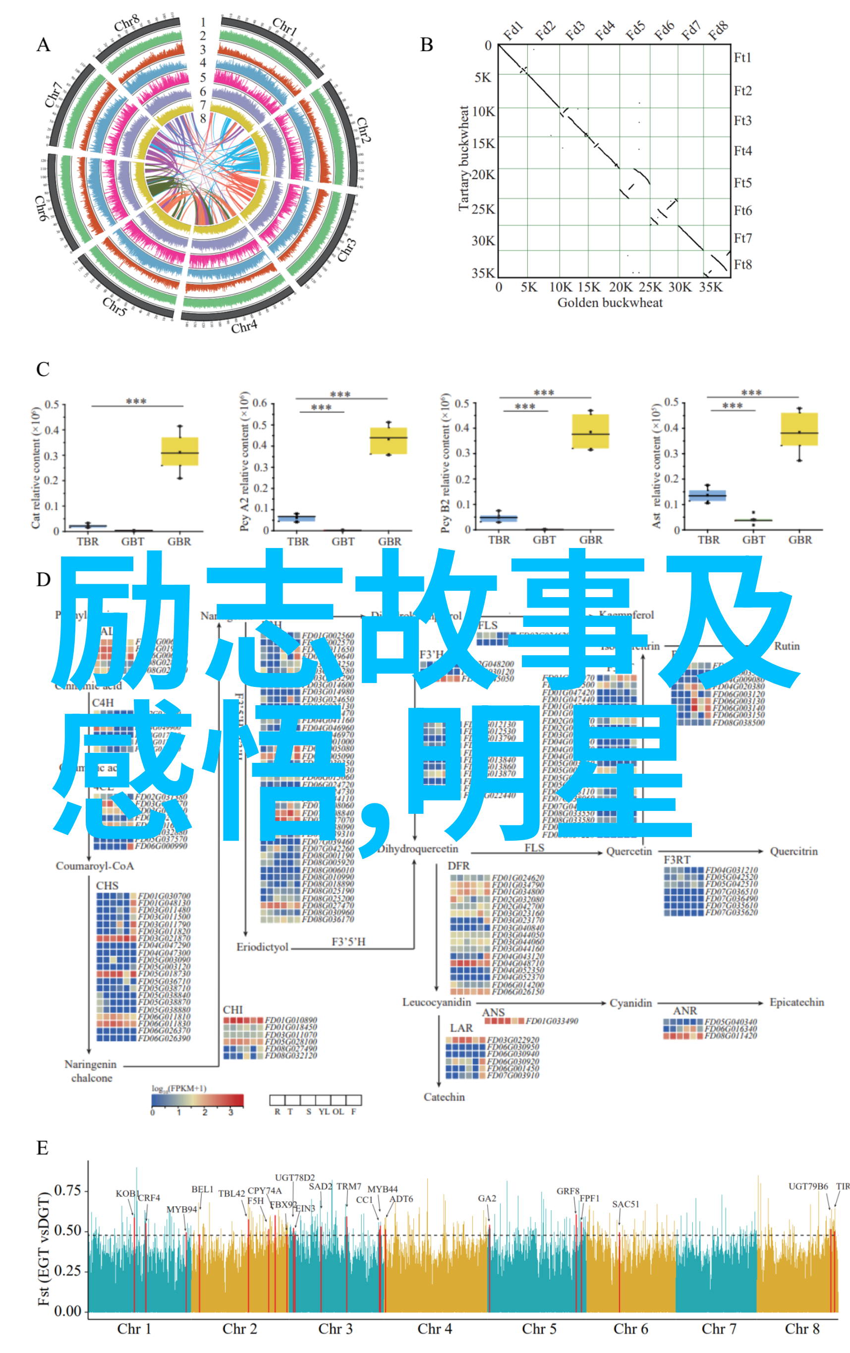 春天的经典语录-花开满枝头希望重生