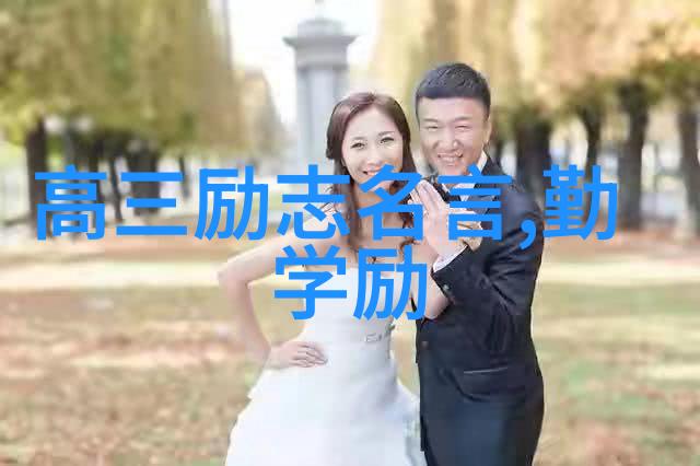 陈赫背后的秘密揭露一段婚姻中的出轨真相