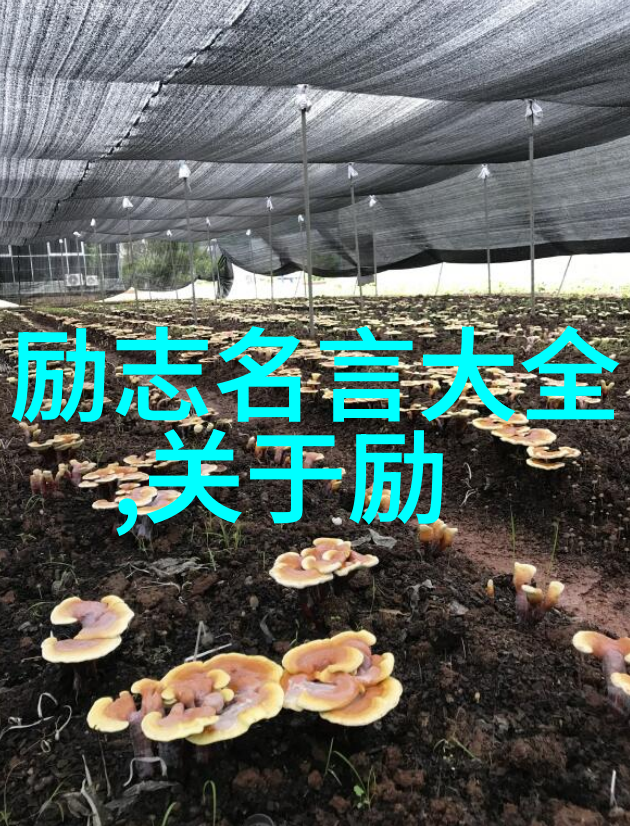 00后人才杰出代表典型张宇航的梦想之旅