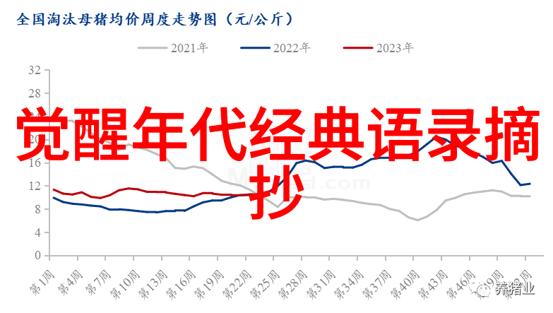 他们的爱情不需要言语只在彼此眼中闪烁一生只爱一个人的承诺