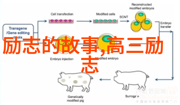 他从火光中走来经典语录 - 李斯特弗朗茨的无畏追梦