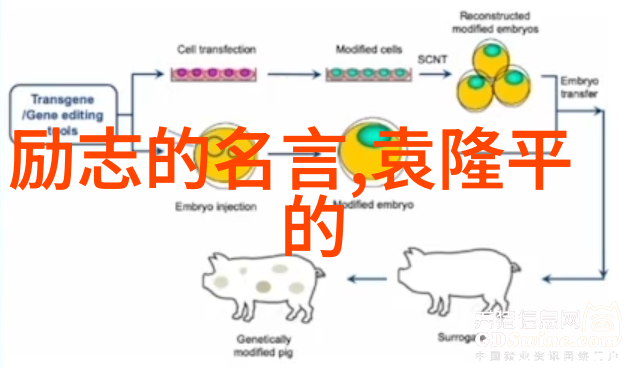 马云活着的努力就像种在心田的种子比死后的一己之力更能滋养社会