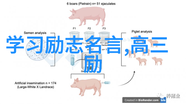 逆袭从底层工厂到亿万富翁的奇迹之旅