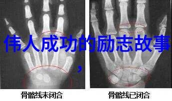 坚持励志名言逆境铸就辉煌人生不易砥砺前行