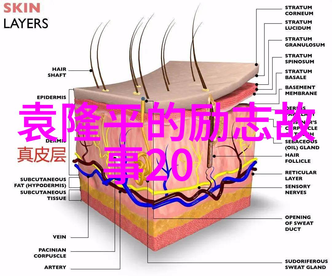 袁隆平的种子梦想中国农业科学家作物育种领域的开创者