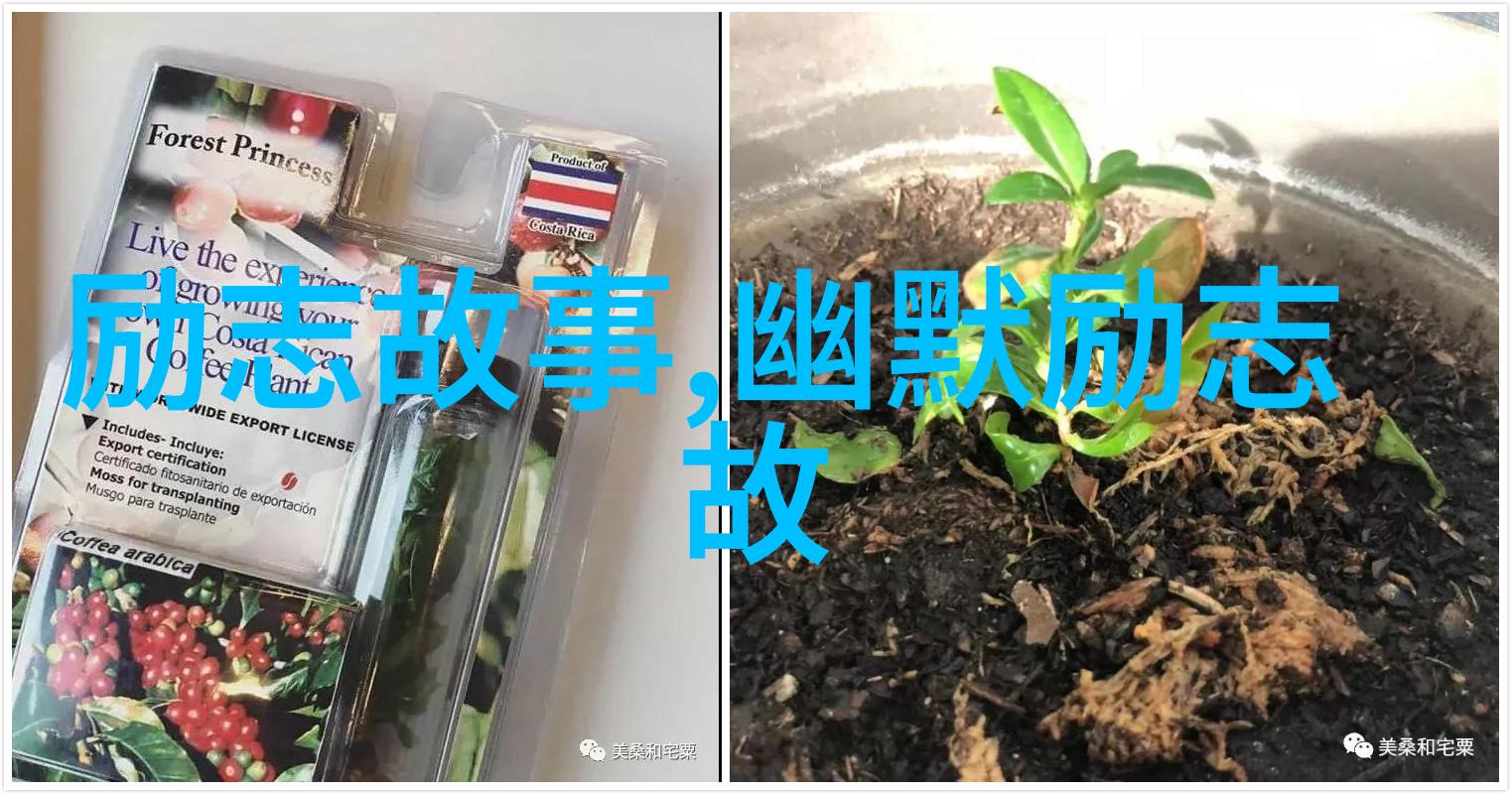 徐志摩是如何影响后来的文学界和普通读者的思想感情的他的话语背后透露了什么信息或价值观念呢