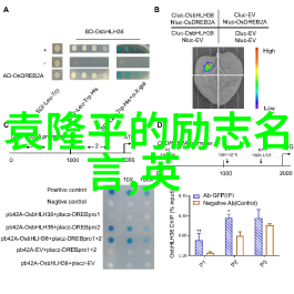 努力工作的可爱励志图片勤勉生活的甜蜜动力