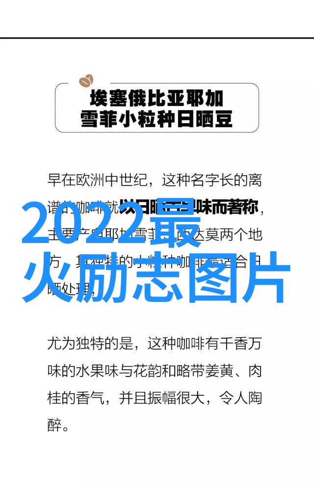 致青春经典语录我曾经说过的那些话青春的回声