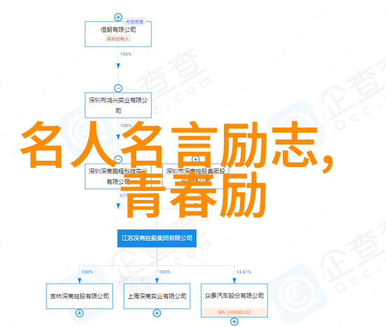 坚如磐石的信念万达国际化之旅