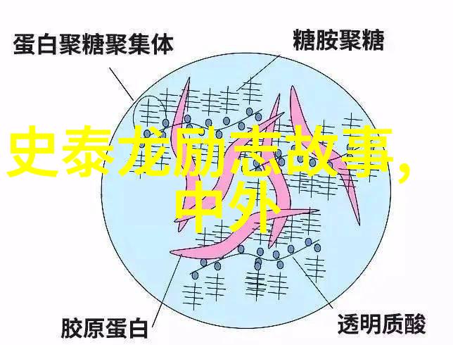 婆媳情深电视剧中婆媳角色的演员阵容探秘